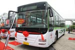 運營100天betway在线官网客車