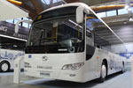 大金龍展車XMQ6120C