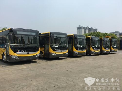 純電動公交首現浙江海寧