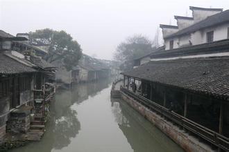 浙江：桐鄉今年新增41輛旅遊客車