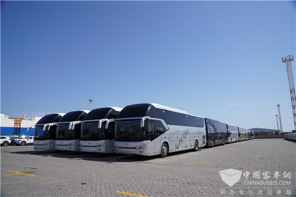 50台金旅新凱歌遠航沙特 拔得朝覲市場新頭籌