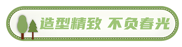 安凱客車 安凱N8 高品質春遊