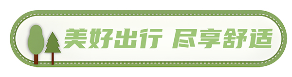 安凱客車 安凱N8 高品質春遊