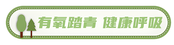 安凱客車 安凱N8 高品質春遊