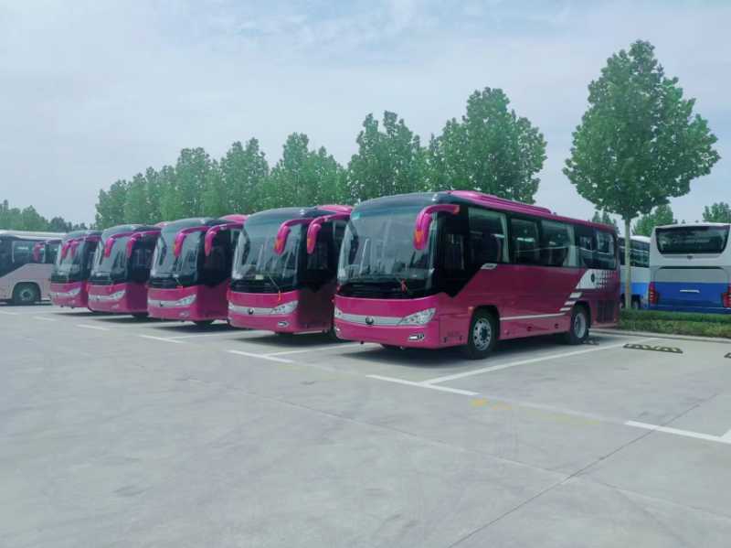 2023年4月 多台國六38座有公告宇通6907旅遊車