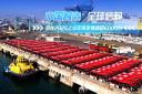 中國智造 全球信賴：金龍2025上半年海外銷售超6000台