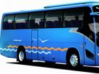 大金龍旅遊團體拳頭車型。XMQ6117外觀設計采用國際同步流行的曲線精致搭建——大弧麵、流線型，飽滿而有張力。自上市以來，在市場上都有不俗表現，2009年更是保持佳績，銷售達到800多輛，銷售金額近4億，是當之無愧的暢銷車型。