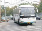 金龍巴士旅遊車